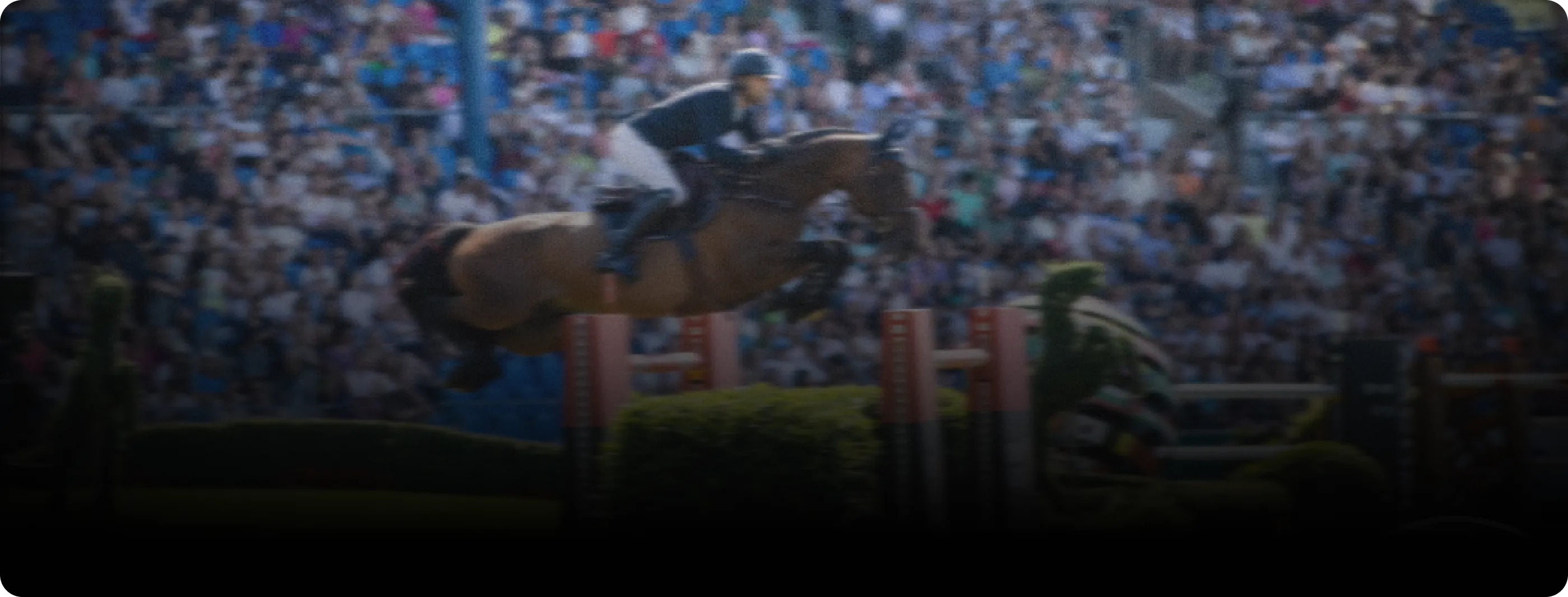 Horse jumping over hurdle