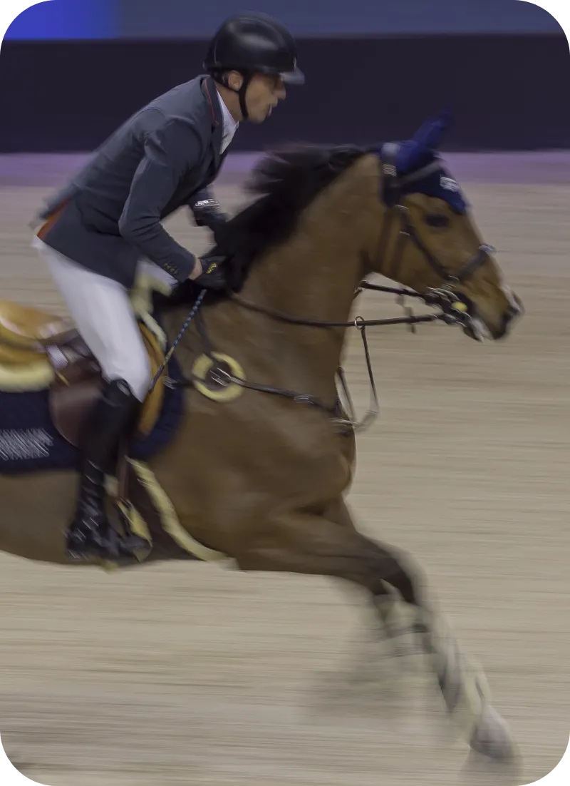 Horse rider in motion