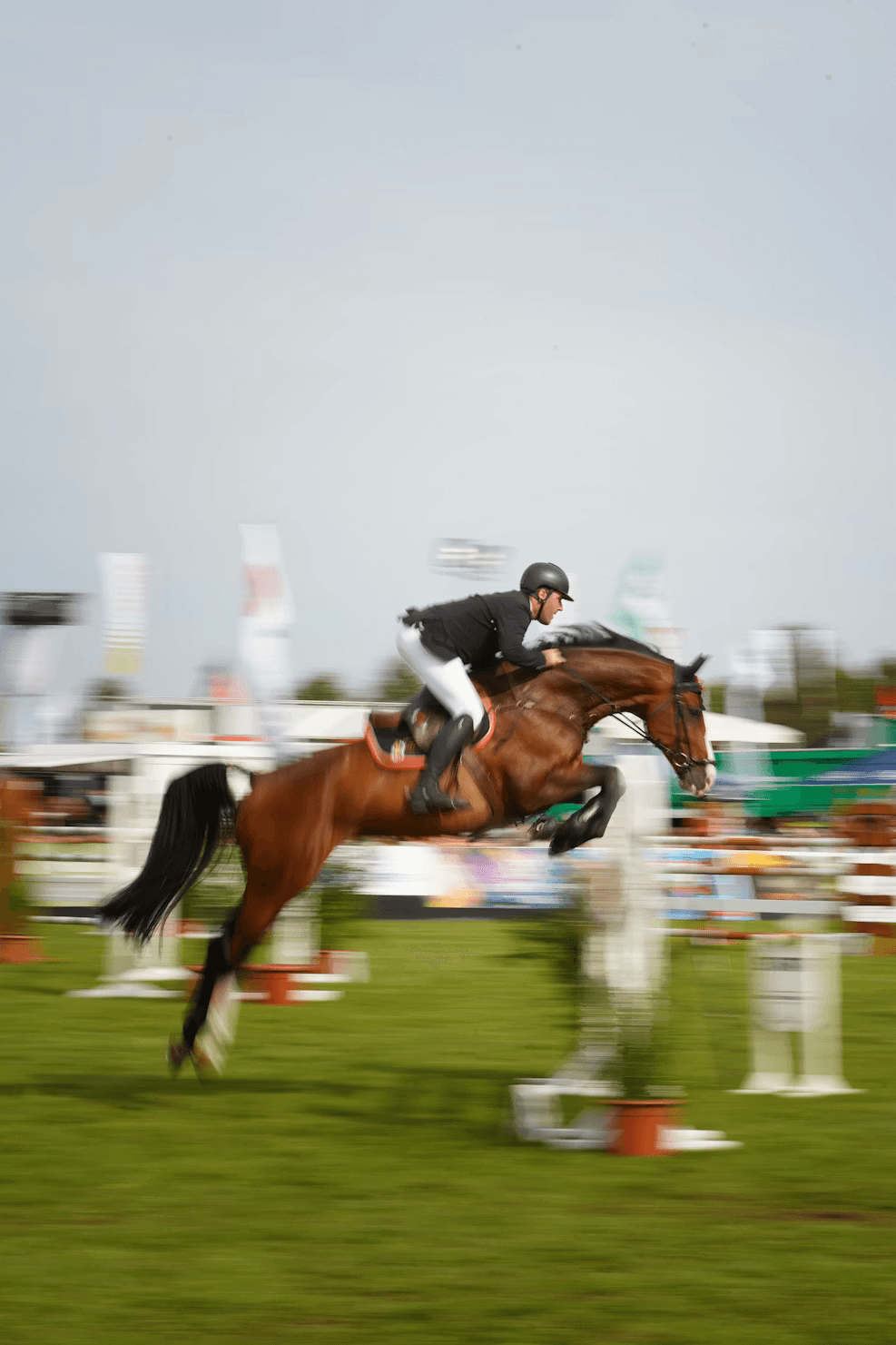 Horse and rider jumping